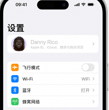 蓬安appleID维修服务iPhone设置中Apple ID显示为灰色无法使用