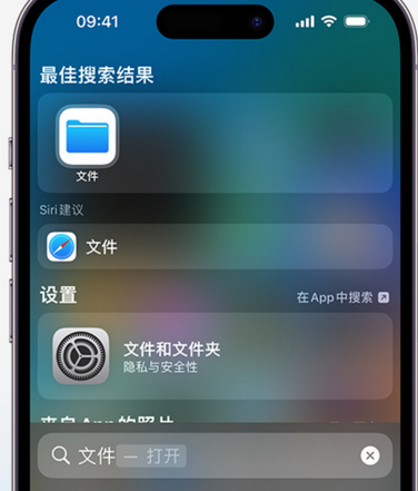 蓬安apple维修中心分享iPhone文件应用中存储和找到下载文件 