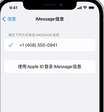 蓬安apple维修iPhone上无法正常发送iMessage信息 