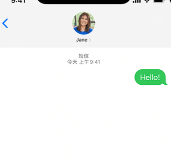 蓬安apple维修iPhone上无法正常发送iMessage信息