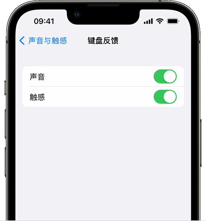 蓬安苹果14维修店分享如何在 iPhone 14 机型中使用触感键盘 