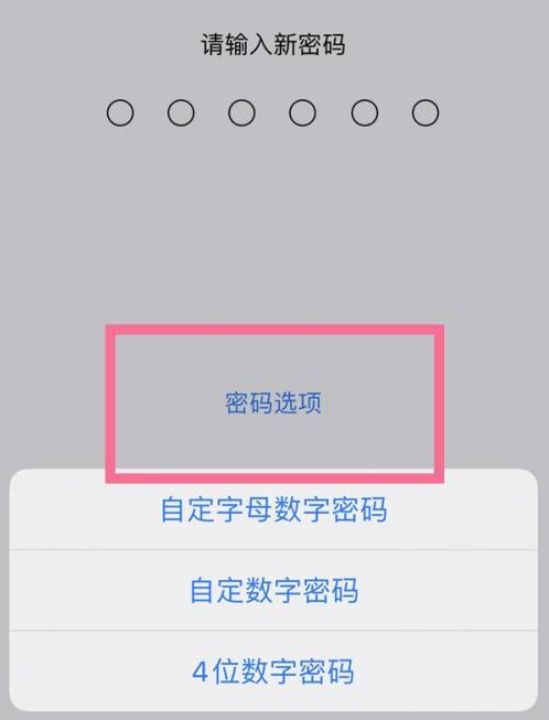 蓬安苹果14维修分享iPhone 14plus设置密码的方法 