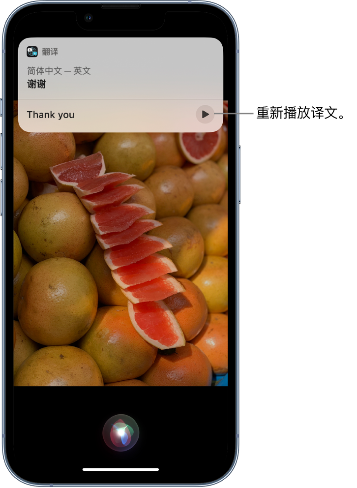 蓬安苹果14维修分享 iPhone 14 机型中使用 Siri：了解 Siri 能帮你做什么 