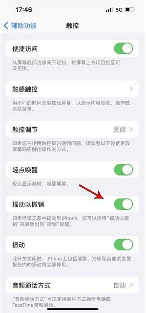 蓬安苹果手机维修分享iPhone手机如何设置摇一摇删除文字 