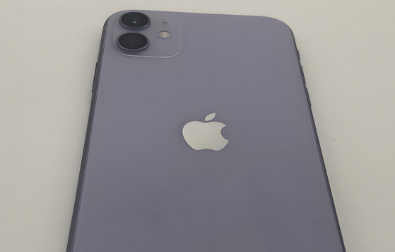 蓬安苹果11系统维修分享iPhone11手机系统崩溃无法开机如何解决 